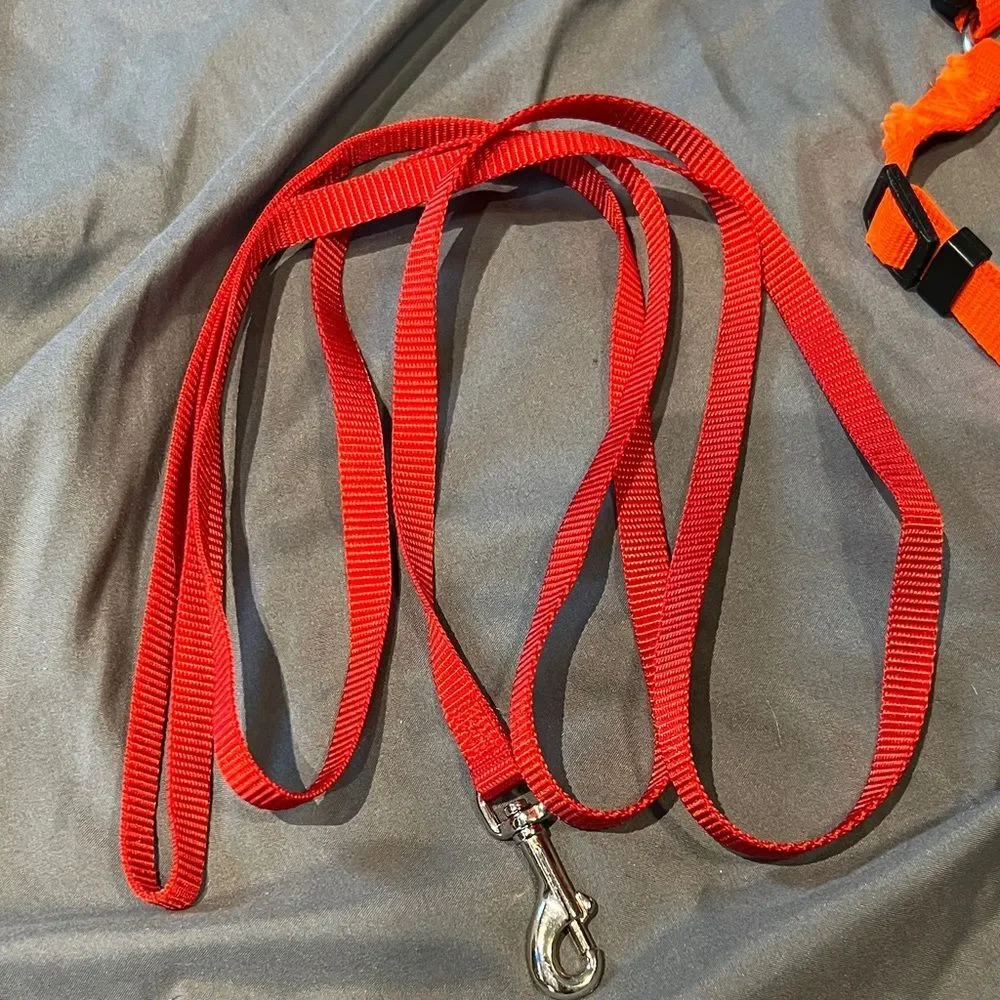 Lot of Pet Harness and Leash Set